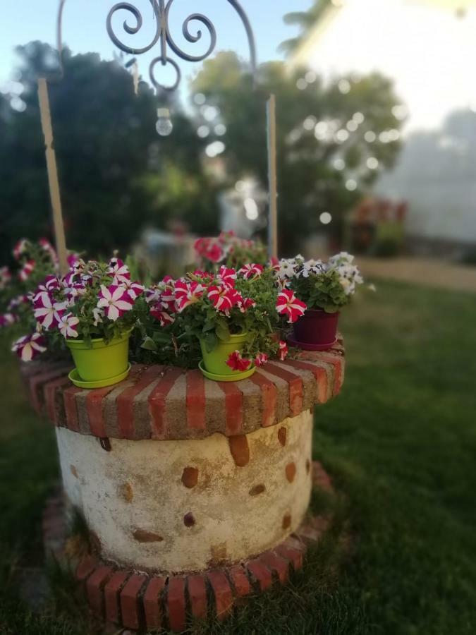 San Andrés del RabanedoBoleta A 5 Minutos De Leon, Casa Con Jardin别墅 外观 照片